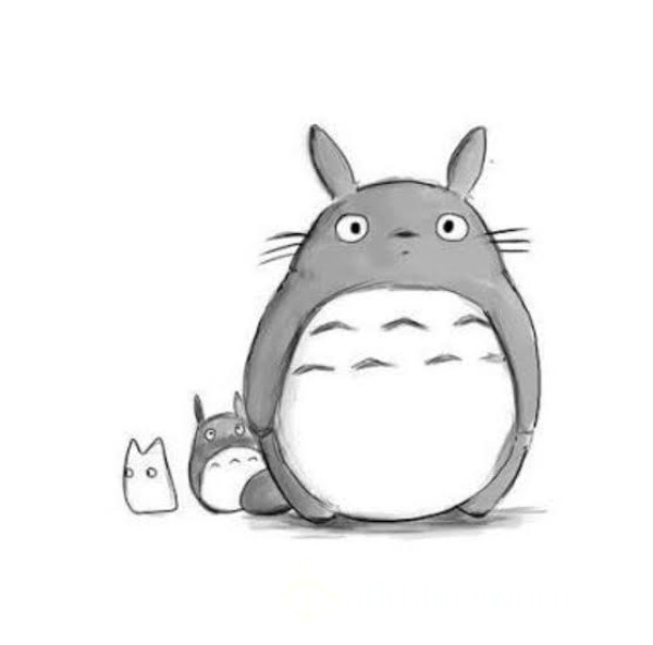 Totoro_mate